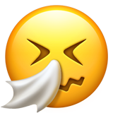 Sneezing Face, the design in this release