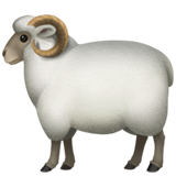 Ovelha as drawn by Apple in iOS 10.3