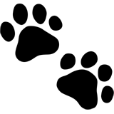 Paw Prints, the previous design