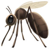 Mosquito, the previous design
