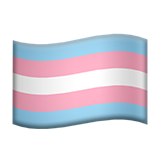 Transgender Flag, the design in this release