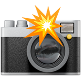 Camera with Flash as drawn by Apple in iOS 14.2