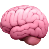 Brain as drawn by Apple in iOS 14.2