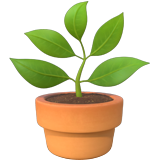 Potted Plant, the design in this release