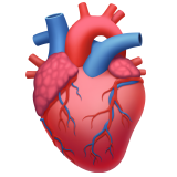 Anatomical Heart, the design in this release