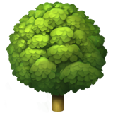 落葉樹 as rendered by Apple