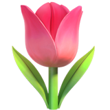 tulipán as rendered by Apple