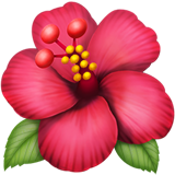 Hibiskus as rendered by Apple