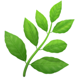 herb as rendered by Apple