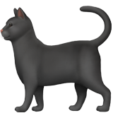 black cat as rendered by Apple