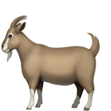 goat as rendered by Apple