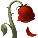 wilted flower as rendered by Apple