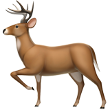 deer as rendered by Apple