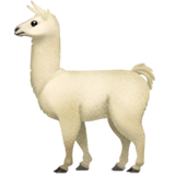 llama as rendered by Apple