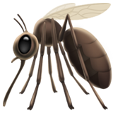 mosquito as rendered by Apple