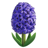 hyacinth as rendered by Apple