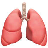 lungs as rendered by Apple