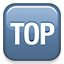 TOP Arrow, the previous design