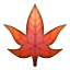 Maple Leaf as drawn by Apple in iOS 5.0