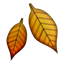 Foglia Caduta as drawn by Apple in iOS 5.0