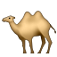 Two-Hump Camel, the design in this release