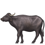 Water Buffalo, the design in this release