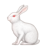 Rabbit as drawn by Apple in iOS 5.1