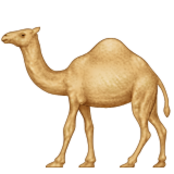 Dromedar as drawn by Apple in iOS 5.1