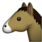 Horse Face, the design in this release