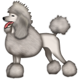 Poodle as drawn by Apple in iOS 6.0