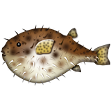 Blowfish as drawn by Apple in iOS 8.3