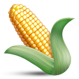 Ear of Corn, the previous design