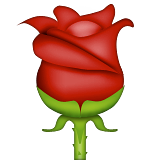 Rose as drawn by Apple in iOS 9.1