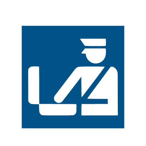 customs as rendered by Catrinity