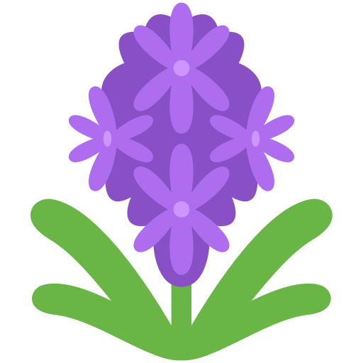 hyacinth as rendered by Discord