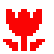 Tulip, the design in this release