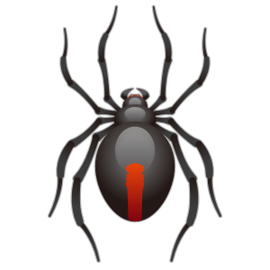 Spider, the design in this release