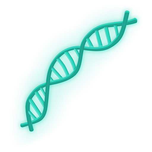 Dna, the previous design