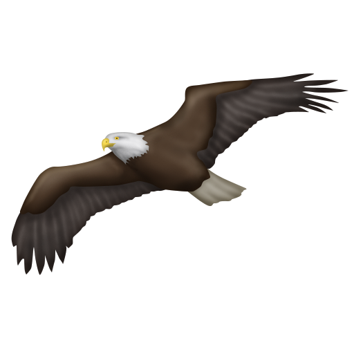 eagle as rendered by Emojipedia