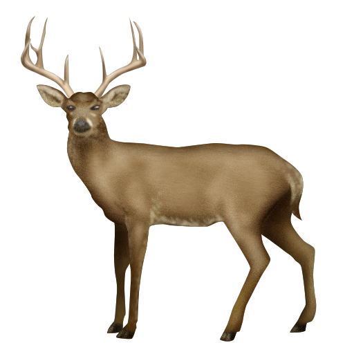 deer as rendered by Emojipedia