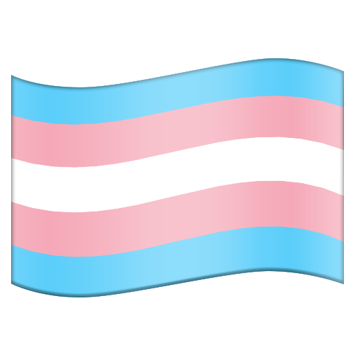 Transgender Flag, the design in this release