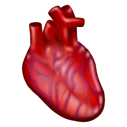 Anatomical Heart, the design in this release
