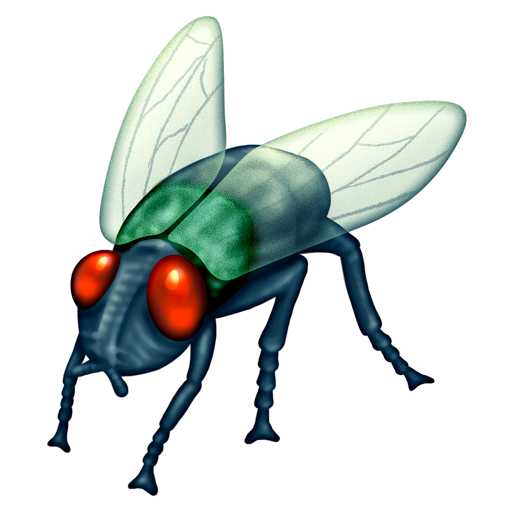 fly as rendered by Emojipedia