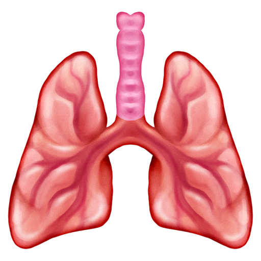 lungs as rendered by Emojipedia