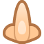 Nose, the previous design