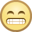 Cat with Wry Smile, the previous design