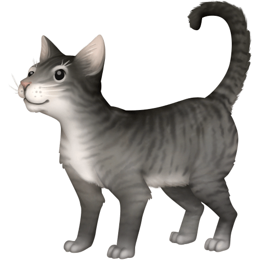 Gatto as drawn by Facebook in 13.0