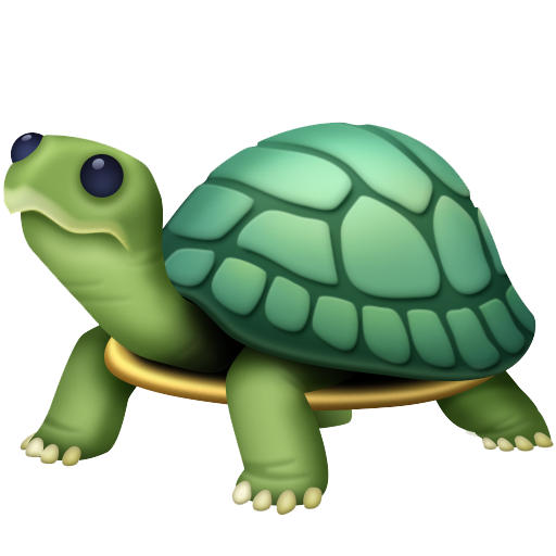 Tartaruga as drawn by Facebook in 13.1