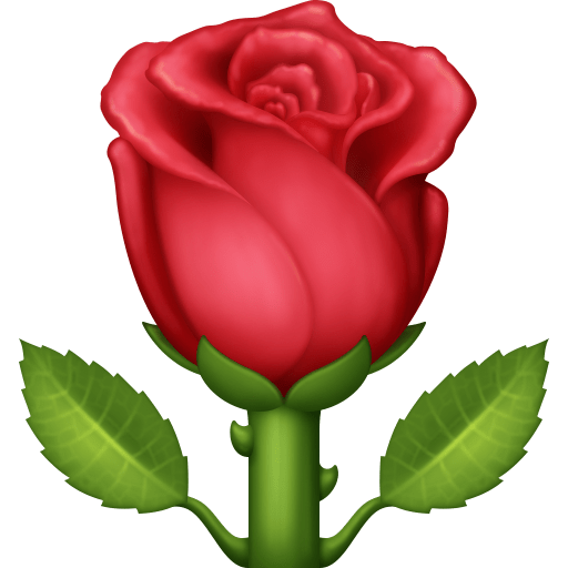 Rose as drawn by Facebook in 14.0
