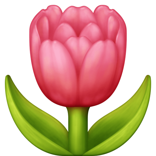 tulipán as rendered by Facebook